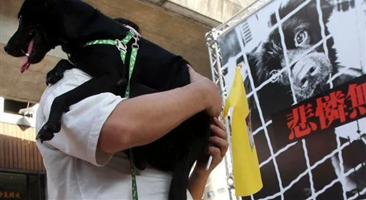 Taiwán prohíbe la venta y consumo de carne de perros y gatos 