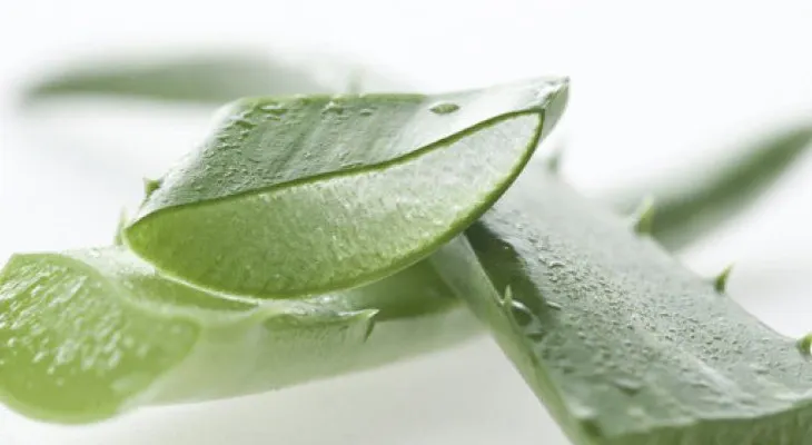 Aprende a hacer un bloqueador solar con ingredientes naturales