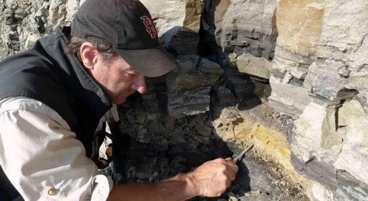 Descubren en Alaska fósil de dinosaurio herbívoro