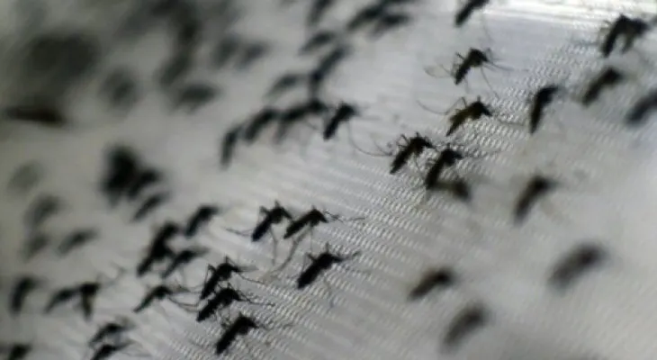 Los hombres con el zika deben esperar 6 meses para tener sexo