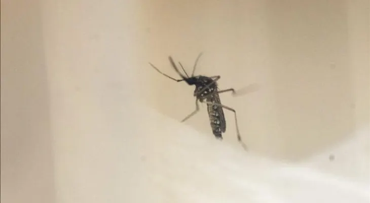 Dan de alta primer paciente chino con zika, que contrajo en Venezuela
