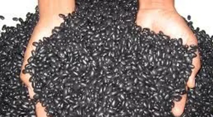Procesadoras de habichuelas denuncian discriminación en concurso