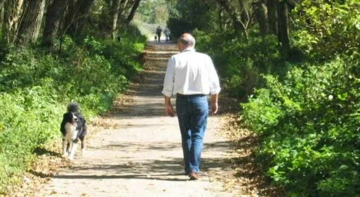 La diabetes se puede frenar saliendo a caminar después de comer