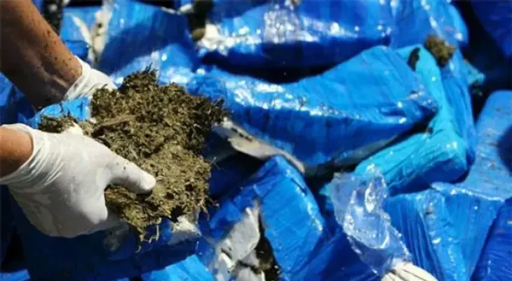 Guardacostas de EEUU decomisan 674 kilos marihuana cerca de la costa de Haití