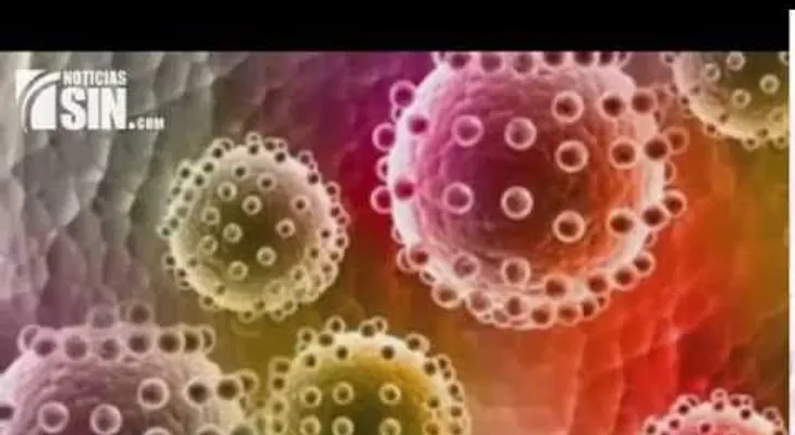 Autoridades sanitarias estudian otras posibles vías de transmisión del virus Zika
