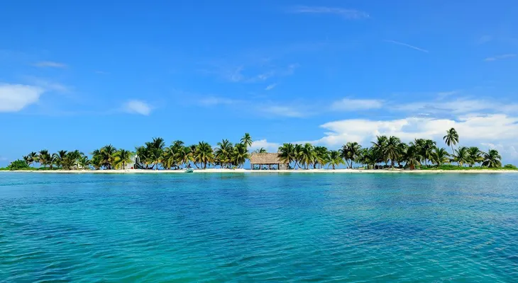 Virus del zika: ¿Deberías cancelar tu viaje al Caribe o a México?