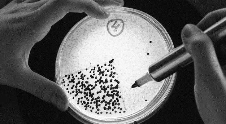 Bacteria del hombre de hielo desconcierta a los científicos