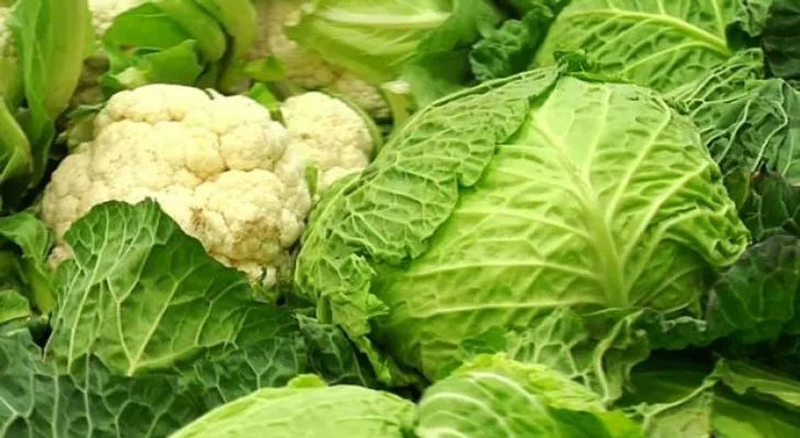 Coliflor, brócoli y col, útiles contra la leucemia linfática crónica