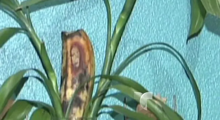 Video: se le presenta imagen de Jesús en plátano