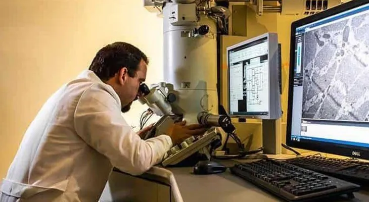 Las hormonas sexuales podrían estimular el crecimiento de tumores cerebrales