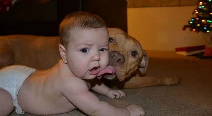 Convivir con perros desde pequeños reduce el riesgo de padecer asma