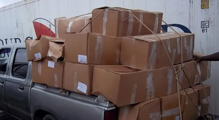 Procuraduría Medio Ambiente y CODOPESCA decomisan 20  mil libras de lambí