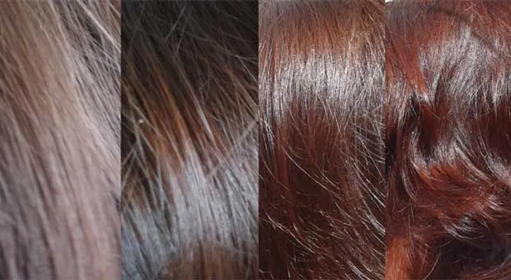 Cabello reseco y sus tratamientos naturales