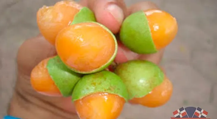 Conozca el lado nutritivo del limoncillo