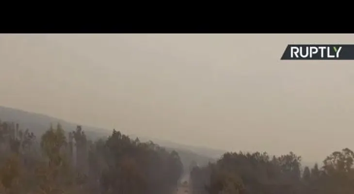 62 muertos en el incendio más mortífero de los últimos 50 años en Portugal