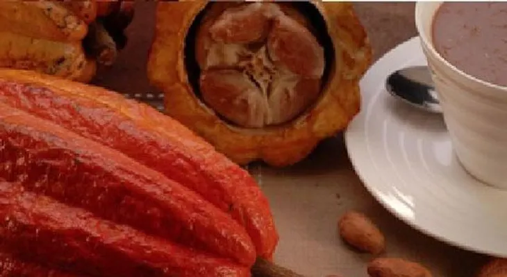 Un componente cacao podría prevenir diabetes tipo 2