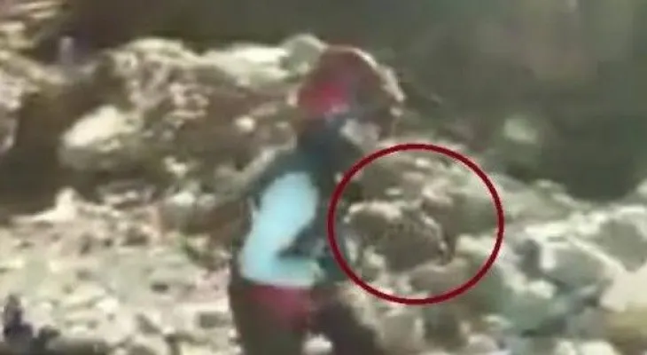 Hallan pato con vida 5 días después de sismo  de Ecuador