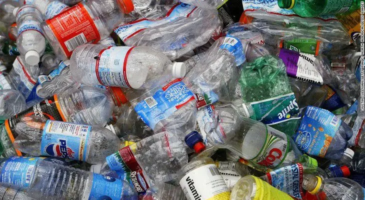 Descubren una nueva bacteria que puede comerse el plástico