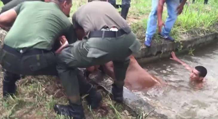 Un caballo cae al agua y un joven tiene una idea general para sacarlo  