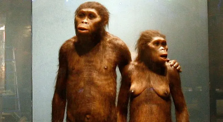 Hallan un cromosoma de hombre moderno en el ADN de un neandertal