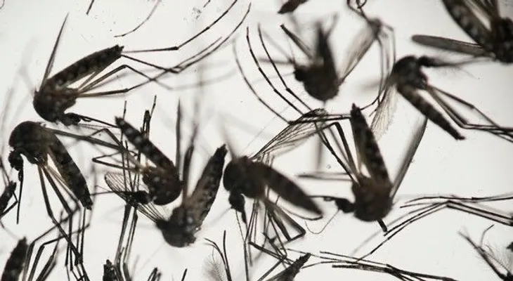 Puerto Rico confirma 201 casos de zika