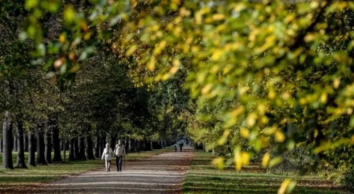 Los suecos y los españoles, son los europeos que viven más años y con mejor salud