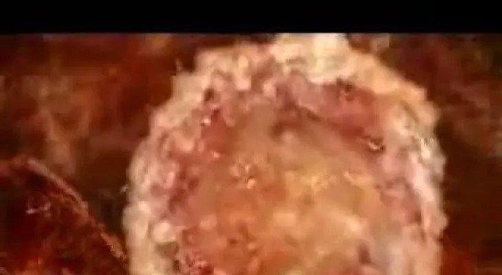 Un excelente VIDEO te explica el proceso de la fecundación 