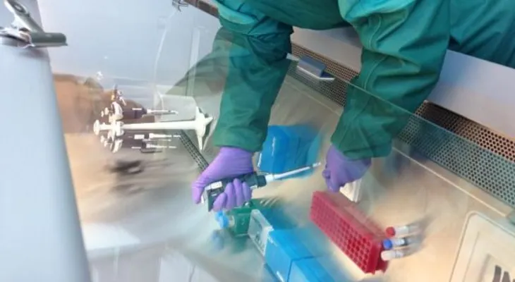 Comienza segundo ensayo de vacuna canadiense contra el ébola