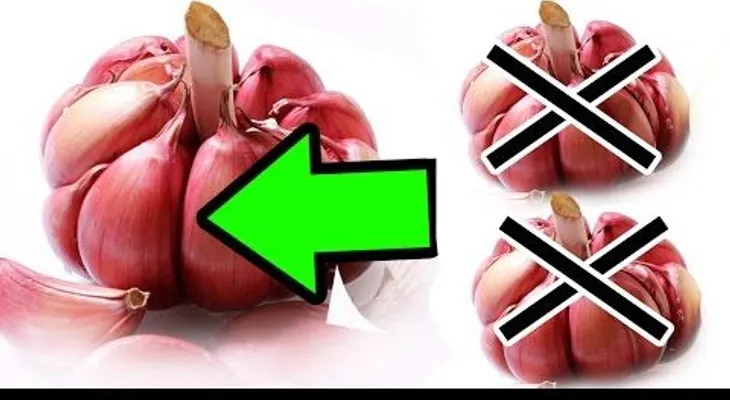 Nunca consuma "AJO" si tiene este problema de salud 