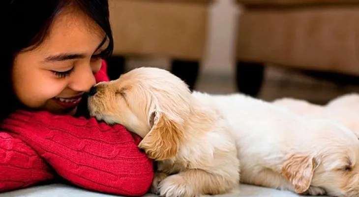 Descubren que el vínculo perro-dueño es similar al de madre-hijo