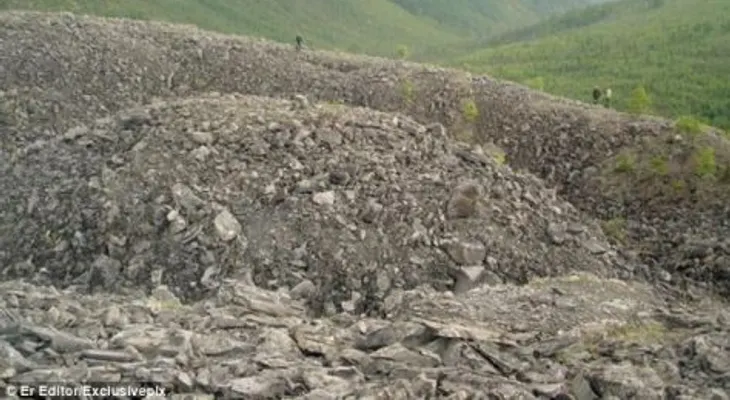 Encuentran respuesta a la anomalía del bosque siberiano