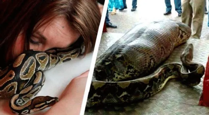 Esta mujer dormía con una serpiente y lo que sucedió te dejará en Shock: Es para reflexionar