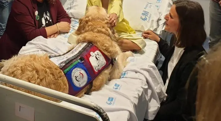 Zenit, el perro que consigue reducir el dolor de los niños