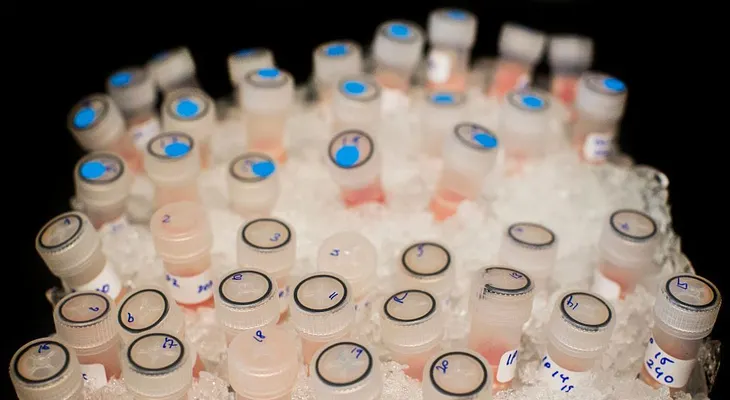 Inmunoterapia, nueva esperanza para el cáncer de hígado