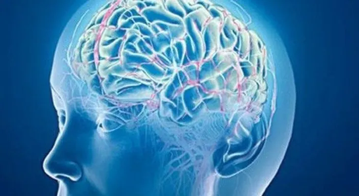 Hacer juicios de valor aumenta la materia gris del cerebro