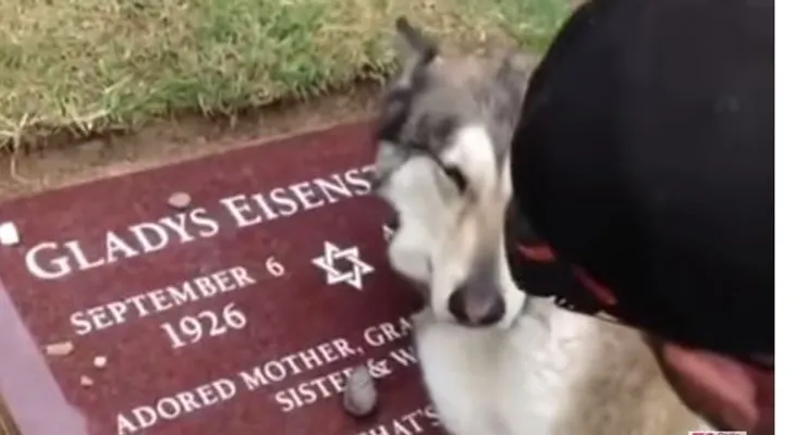 Increible perro llora sobre la tumba de su dueña: (Video)