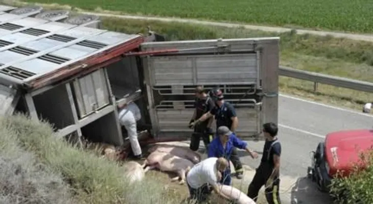 Un hombre muerto y dos heridos en riña en billar de Las Cañitas