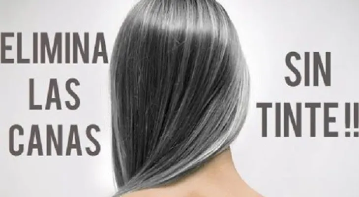 Acaba las canas sin tinte y sin química, solo 2 ingredientes