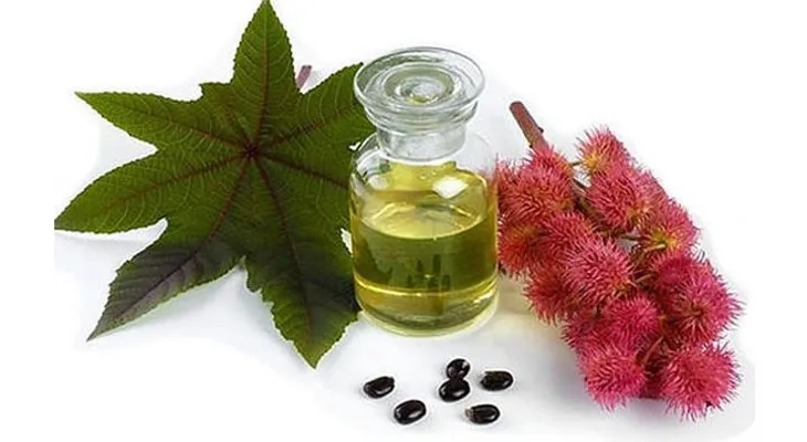 Este es el mejor producto que te harás crecer tu cabello, cejas y pestañas como COSA LOCA