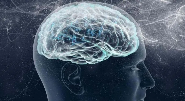 Científicos descubren un mecanismo de entrada de fármacos al cerebro