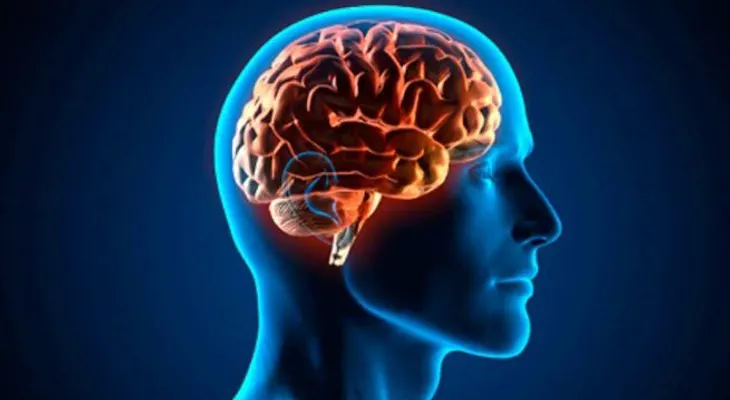  El cerebro humano puede "ver" el futuro en tiempo real