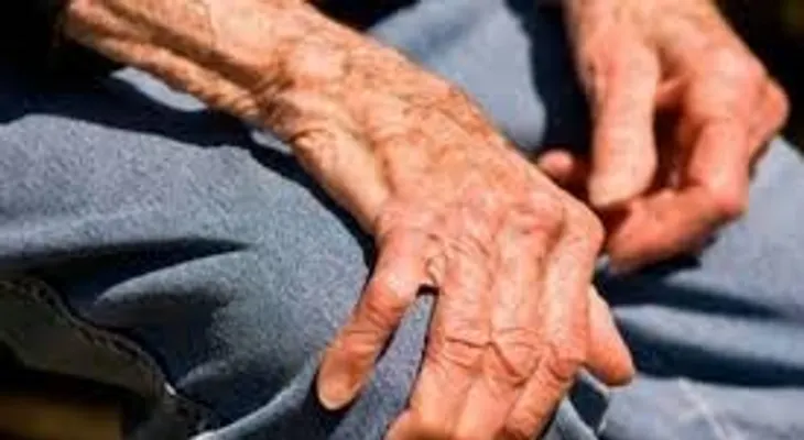 Japón hará los primeros test clínicos contra el párkinson con células iPS