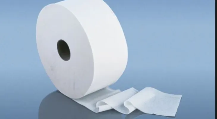 ¿Por qué no es buena idea poner papel higiénico en un inodoro público?