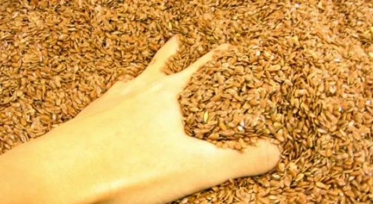 Beneficios de agregar semillas a tus comidas