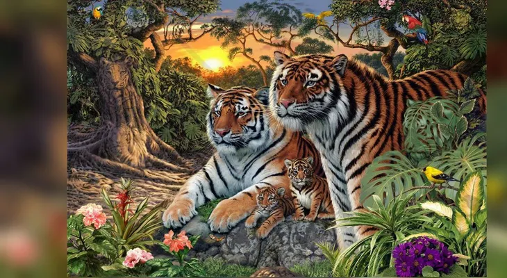 En esta imagen hay 16 tigres, ¿los puedes ver?