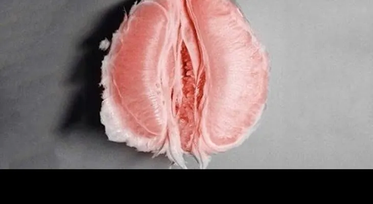 Datos curiosos que no sabías de la vagina 