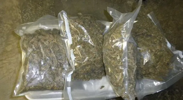 Dican y MP apresan 6 personas tras ocupar droga en allanamientos