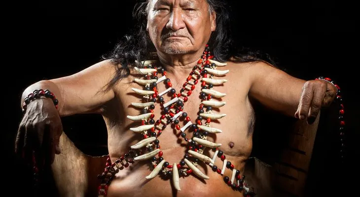 Todo lo que hay que saber sobre Ayahuasca