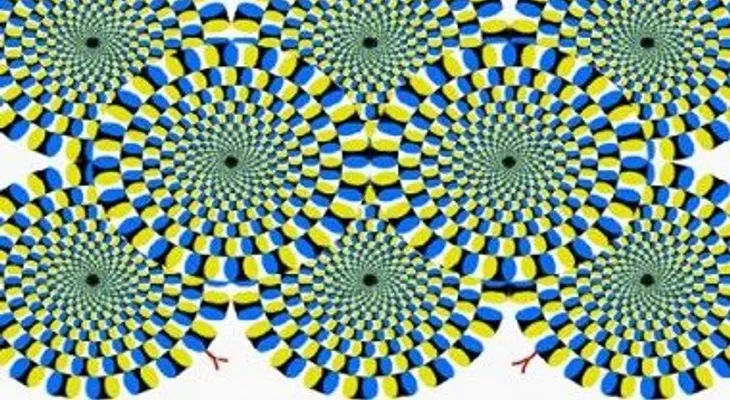 Test del cansancio: Si la imagen se mueve, ¡algo anda mal! Averigua el por qué?