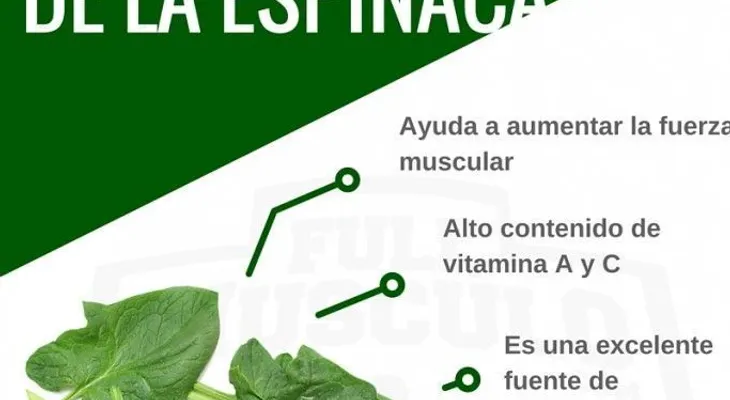 Estas son las enfermedades que evita consumiendo espinaca
